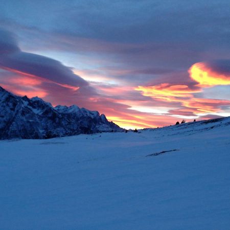 Apartament Monolocale A Passo Tonale Passo del Tonale Zewnętrze zdjęcie